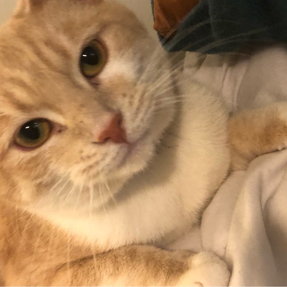 Meet Your Posher’s Posse- - Picture 8 of 12